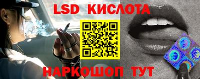 прущий лед Кингисепп