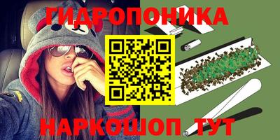 прущий лед Кингисепп