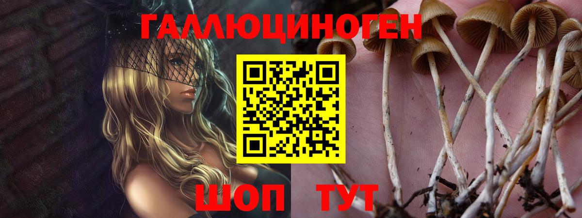 Галлюциногенные грибы GOLDEN TEACHER Майкоп