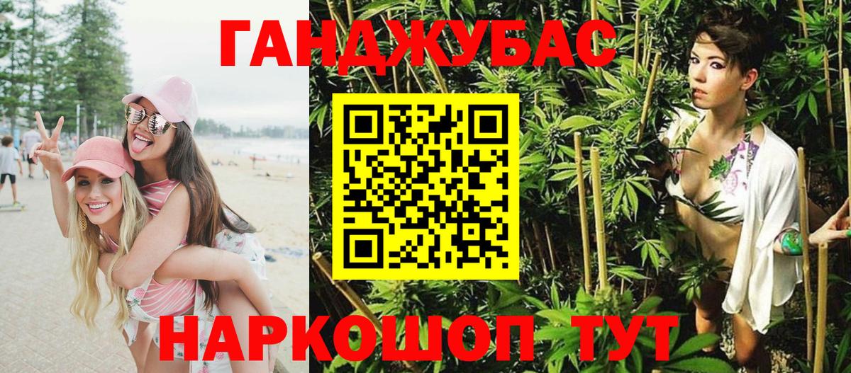 Шишки марихуана марихуана Майкоп